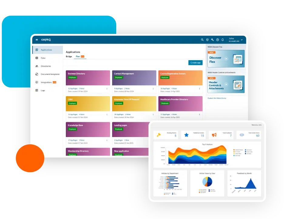 Caspio database system
